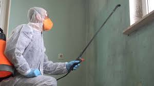 Why You Should Choose Our Mold Remediation Services in Chino, CA